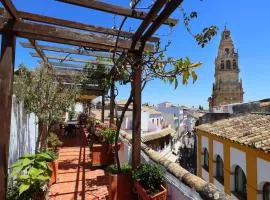 Casa con encanto en la judería de Córdoba