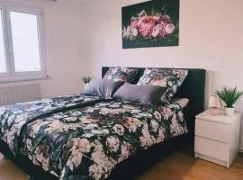 Ferienwohnung Sigmaringen