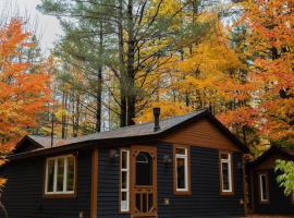 The Doma Lodge - Cozy Muskoka Cabin in the Woods，位于亨茨维尔的木屋