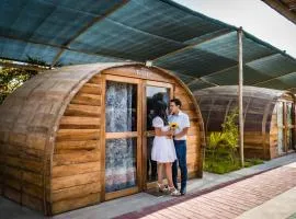 GLAMPING TONELES Y VIÑEDOS