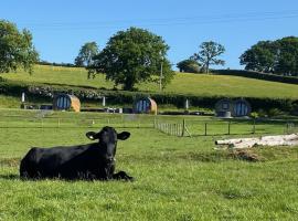 Great House Farm Luxury Pods and Self Catering，位于Crickadarn的露营地