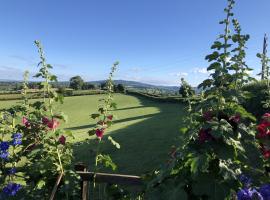 Betula Views Studio，位于Newent的酒店