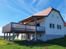 Baronigg Weingartengut