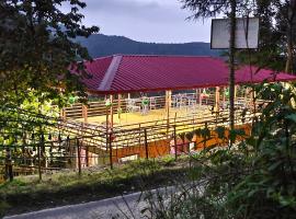 hotel chakrata green and camping，位于恰克拉塔的酒店