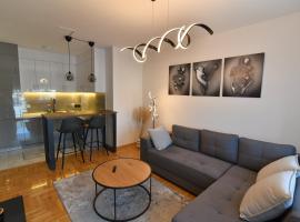 Apartman Dina，位于皮罗特的住宿