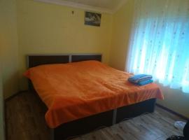 Homestay Guest House Dormitory Sleeping Rooms - BE MY GUEST，位于安塔利亚的住宿加早餐旅馆
