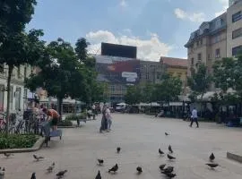 2br condo in the heart of Zagreb