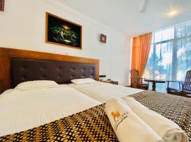 喜兰旅馆，位于阿努拉德普勒的酒店