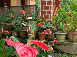 Blue Petal Homestay