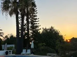 Studio de la Casa Paraiso avec, en plus, une terrasse privative extérieure semi couverte équipée d'un salon d'un coin repas d'une kitchenette, la grande piscine et les jardins sont partagés, à proximité des plages de FUSETA et de la RIA FORMOSA