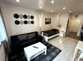 Modern & Cozy 1 room Apartment