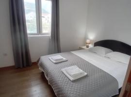 Apartman Aleksandar Aco，位于赫尔采格诺维的酒店