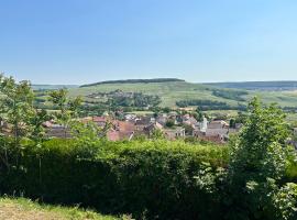 CHEZ BRIGITTE，位于Châtillon-sur-Marne的酒店