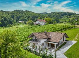 Vineyard Cottage Radovlja With Sauna - Happy Rentals，位于斯玛杰克托莱塞的酒店