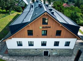Resort Aurum Residence A，位于切尔尼杜尔的自助式住宿