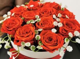 Jaama Apartment，位于瓦尔加的低价酒店