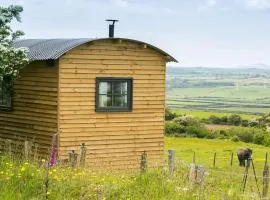 Ynys Hideout