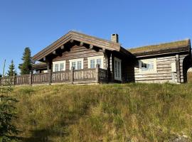 Charming Log Cabin with 3 Bedrooms on Golsfjellet，位于高尔的度假屋