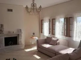 Ioannina Cozy Hill House