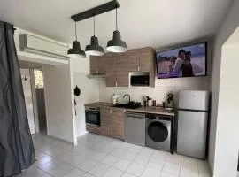 Appartement 211 Les Salicornes