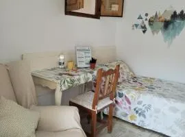 Apartamentos La Campana 5