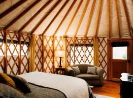 Tuckaseegee @ Sky Ridge Yurts