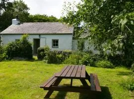 Tyn Llan