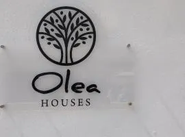 Olea Houses