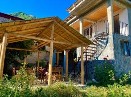 Guesthouse Venera，位于梅斯蒂亚的酒店