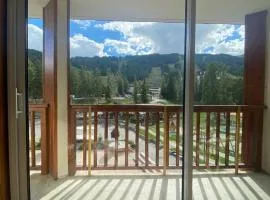 Appartement au coeur de Praloup 1600
