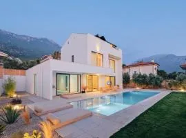 Villa Neo with Jakuzi,indoor pool,sauna and floor heating