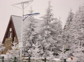 Vielel BIRTA，位于沃利乌格乡的酒店