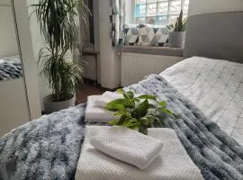 Apartament Pod Orzechem z P