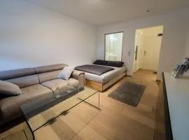 Tegernsee - Tolles, zentrales Appartement，位于泰根塞的度假短租房