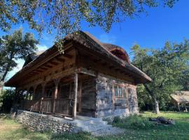 Complexul Turistic Căsuțele din grădină: Căsuța cu Stuf，位于Marga的酒店