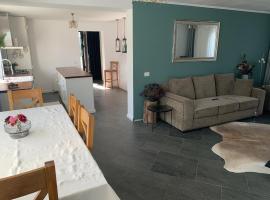 Relaxing entire house with garden，位于博托沙尼的低价酒店