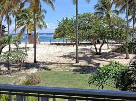 Fleurs, Mer, Colibris. Plage L'Autre Bord