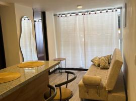 Apartamento Centro de Manizales，位于马尼萨莱斯的酒店