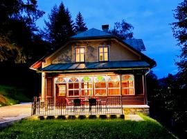Mariazeller Alpen Chalet，位于玛利亚采尔的家庭/亲子酒店