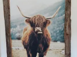 Dolomitenhome Apartments