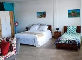 appartement Villa Nancy