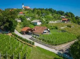 Vineyard Cottage Hočevar With Sauna - Happy Rentals