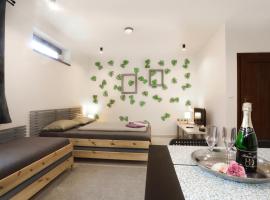 Apartmán Wellness Veselí，位于摩拉瓦河畔韦塞利的酒店