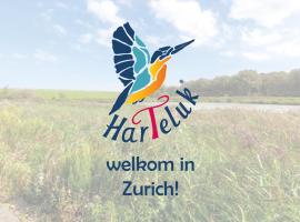 HarTeluk Afsluitdijk Zurich，位于Zurich的酒店