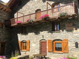 Chalet 3 Céline 6 personnes Vieux Village，位于阿尔克河畔博讷瓦勒的滑雪度假村