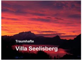 Traumhafte Villa Seelisberg，位于塞利斯贝格的酒店