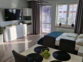 Apartament Gimnazjalna Prestige，位于Końskie的酒店