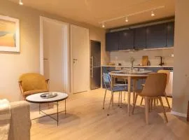 Elegant apartment in city centre