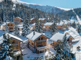 Chalet Montana Royal XL Koralpe，位于Hartelsberg的低价酒店