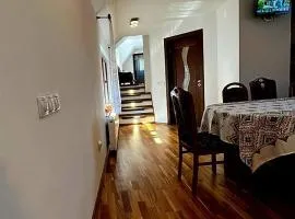 Casa Andreuță